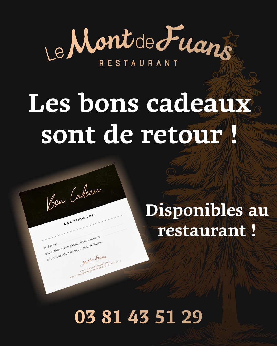bon-cadeau-montdefuans